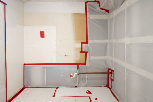 Best Indoor Air Quality Assessment  in Jackson, AL