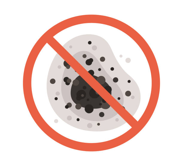 Best Mold Remediation for Healthcare Facilities  in Jackson, AL
