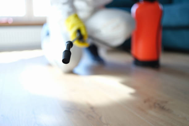 Best Basement Mold Removal  in Jackson, AL