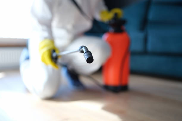 Mold Documentation for Insurance Claims in Jackson, AL