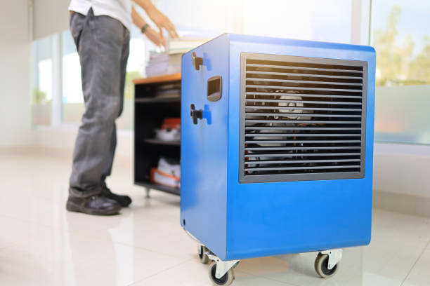 Best Air Quality Testing for Mold Spores  in Jackson, AL